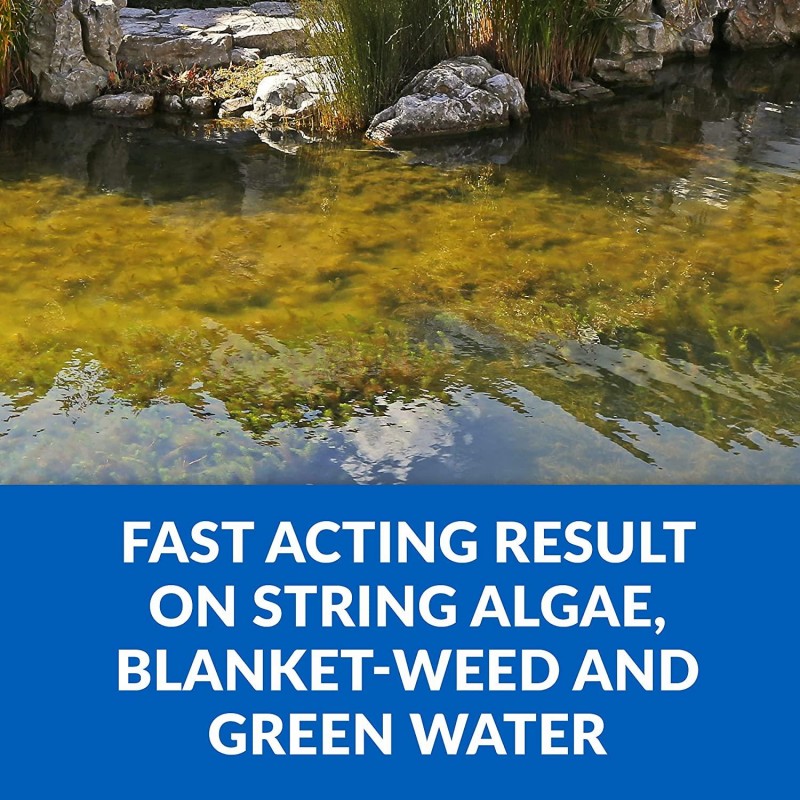 CrystalClear Algae D-Solv - EPA Registered Algaecide - Safe for Fish and Plants: 2.5 Gallons Treats 115,200 Gallons