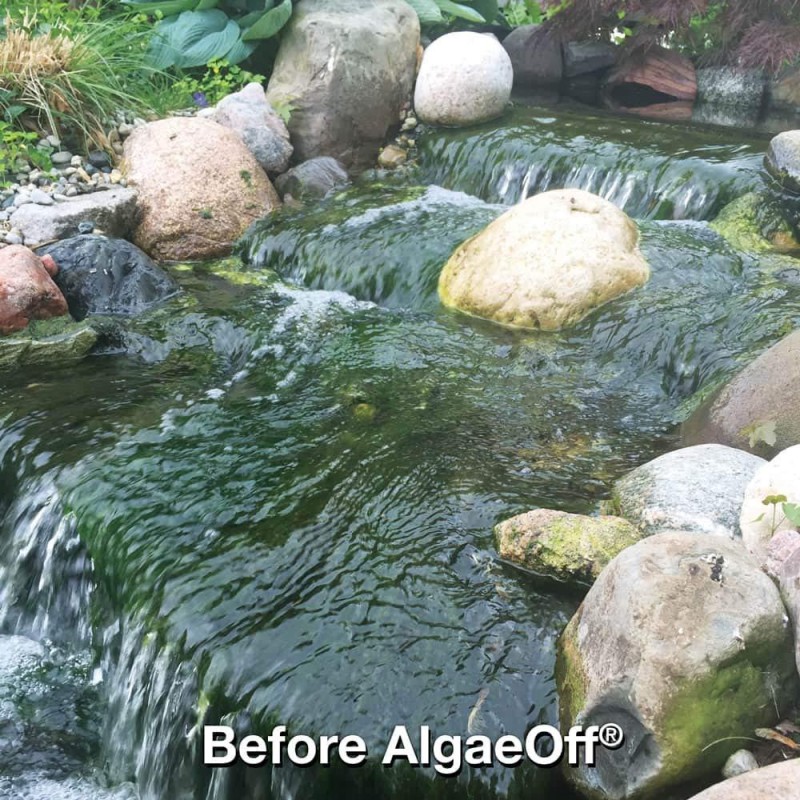 CrystalClear AlgaeOff - String Algae Remover - 25 pounds Treats Up to 10,000 Square Feet