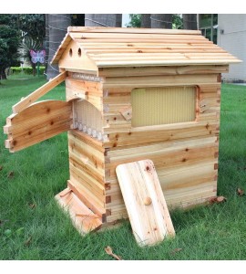 Golden Palace Auto Flow Beehive 7pcs Flow Frame Super Box Free Flow Frame (Outer hive 7pcs flow frame set)