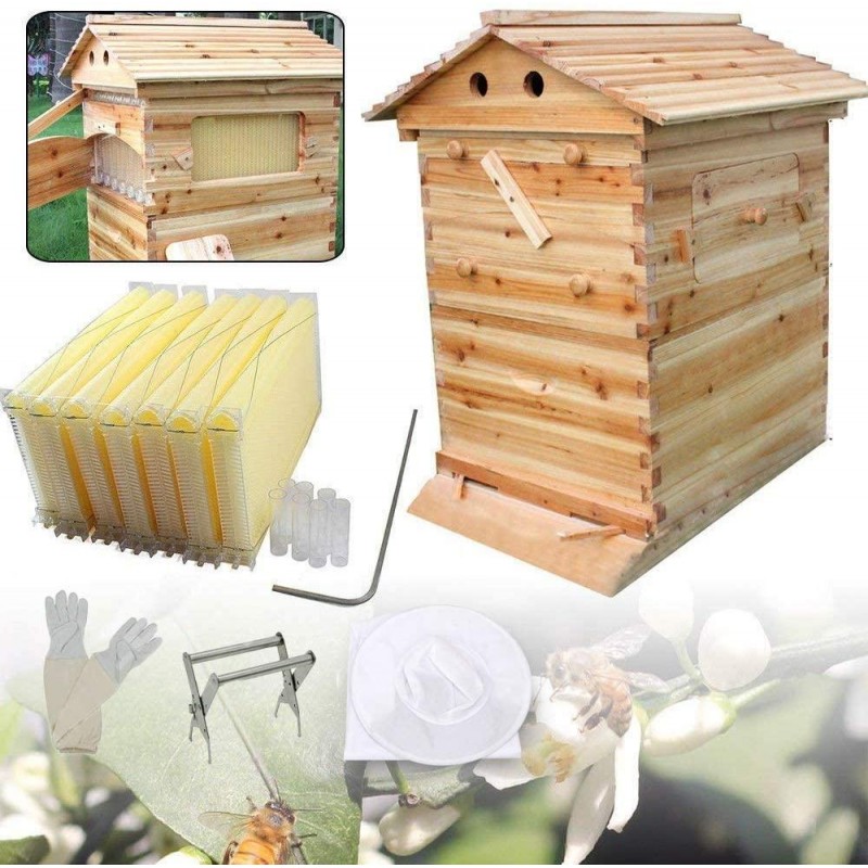 Yolpoco 7Pcs Auto Beehive Frame Comb, Automatic Wooden bee hive House kit，Auto Honey Hive Beehive Frames + Beekeeping Wooden House Beehive Boxes-Food Grade BPA